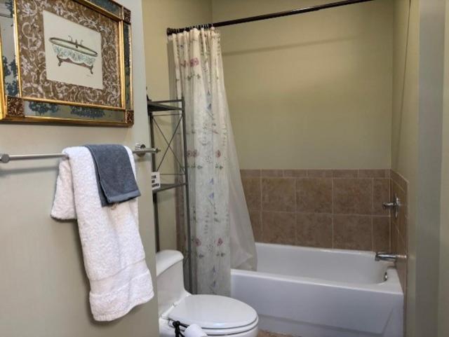 Canton Townhome Apartment *
